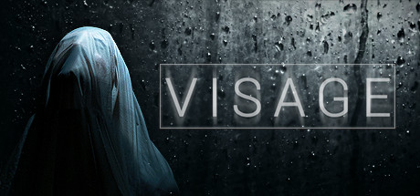 面容 v3.03（Visage）免安装中文版-吾爱游戏
