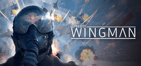 僚机计划 v2.1.1A（Project Wingman）免安装中文版-吾爱游戏